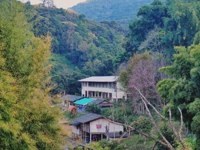 เที่ยวหน้าร้อน "ดอยอินทนนท์-บ้านแม่กลางหลวง" เชียงใหม่