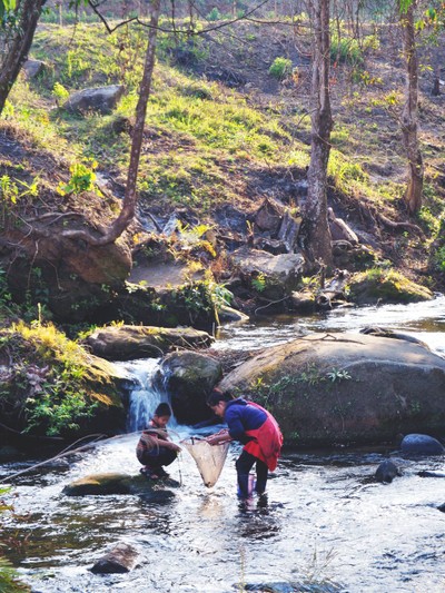เที่ยวหน้าร้อน "ดอยอินทนนท์-บ้านแม่กลางหลวง" เชียงใหม่