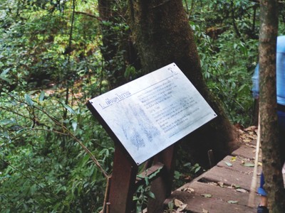 เที่ยวหน้าร้อน "ดอยอินทนนท์-บ้านแม่กลางหลวง" เชียงใหม่