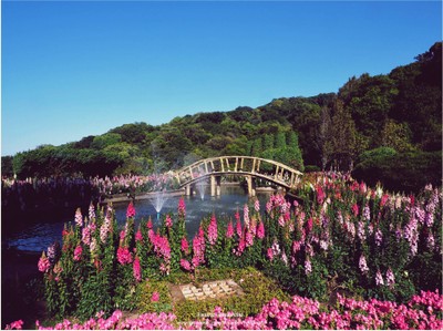 เที่ยวหน้าร้อน "ดอยอินทนนท์-บ้านแม่กลางหลวง" เชียงใหม่