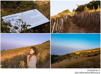 "ทุ่งหญ้าเมืองหนาว"