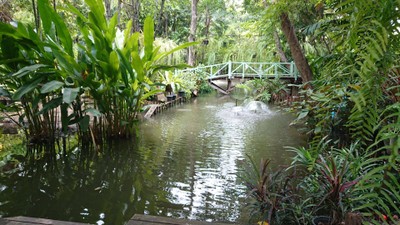 สวนทิพย์