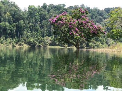 3 D 2 N : More Than OK Betong