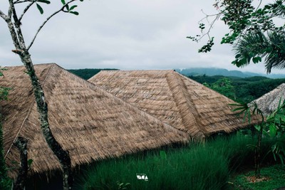 เที่ยวสุราษฎร์ฟินๆ แบบเจ้าถิ่นพาไป