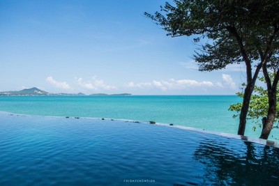 เที่ยวสุราษฎร์ฟินๆ แบบเจ้าถิ่นพาไป