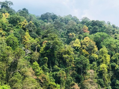 3 D 2 N : More Than OK Betong