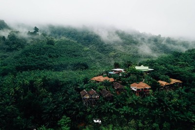 เที่ยวสุราษฎร์ฟินๆ แบบเจ้าถิ่นพาไป