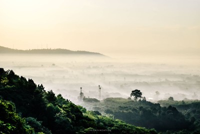 สายหมอกค่อยๆลอยเข้ามาเรื่อยๆ