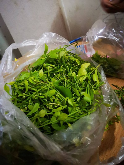 วิธีทำ แกงผักหวาน​ใส่​ไข่​มดแดง​🍴