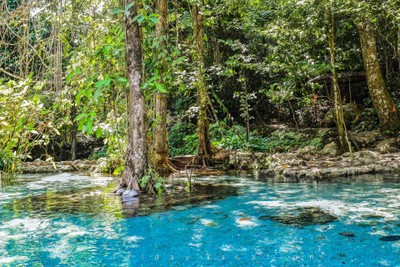 เที่ยวสุราษฎร์ฟินๆ แบบเจ้าถิ่นพาไป