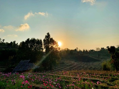 บรรยากาศยามเย็น