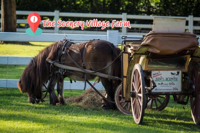 10 จุดเช็คอิน กิน เที่ยว พัก "สวนผึ้ง"