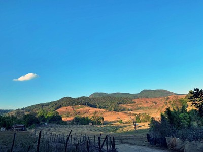 1คืน เที่ยวหลงฤดู"ทุ่งดอกไฮเดรนเยีย"หน้าร้อน ณ บ้านขุนแปะ