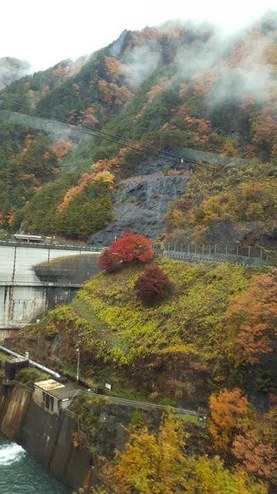 วิวข้างทางช่วงที่ออกจาก Takayama ไป Nagano