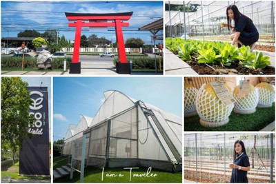 10 จุดเช็คอิน กิน เที่ยว พัก "สวนผึ้ง"