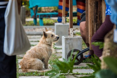 เชียงใหม่.....ไปไม่เคยเบื่อ