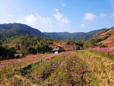 กระท่อมขุนแปะตะวันไรวินท์