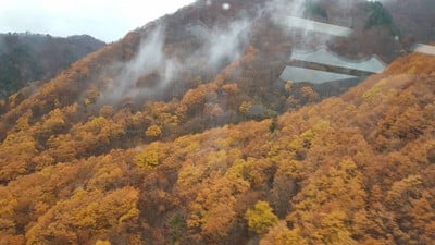 วิวข้างทางระหว่างเส้นทางไป Shirakawa-Go