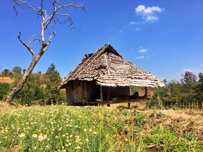 กระท่อมในหน้าร้อน แต่อากาศเย็นนะ