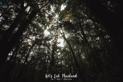 เชียงใหม่.....ไปไม่เคยเบื่อ