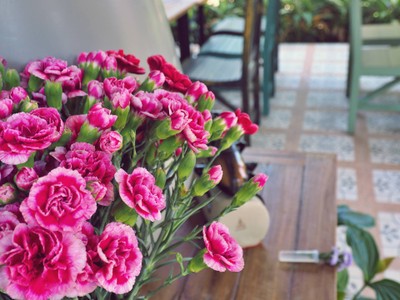 1คืน เที่ยวหลงฤดู"ทุ่งดอกไฮเดรนเยีย"หน้าร้อน ณ บ้านขุนแปะ