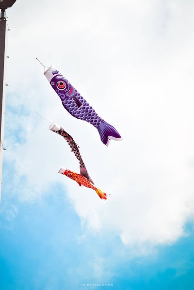 เที่ยวสุราษฎร์ฟินๆ แบบเจ้าถิ่นพาไป