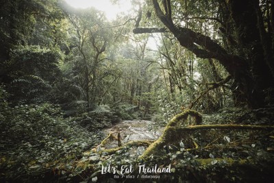 เชียงใหม่.....ไปไม่เคยเบื่อ