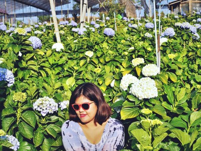 1คืน เที่ยวหลงฤดู"ทุ่งดอกไฮเดรนเยีย"หน้าร้อน ณ บ้านขุนแปะ