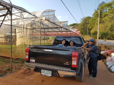 แปลงทดลองในโครงการรถสามารถเข้ามาได้
