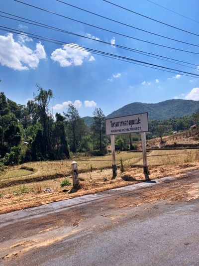 1คืน เที่ยวหลงฤดู"ทุ่งดอกไฮเดรนเยีย"หน้าร้อน ณ บ้านขุนแปะ