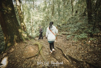 เชียงใหม่.....ไปไม่เคยเบื่อ