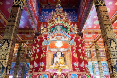 เที่ยวสุราษฎร์ฟินๆ แบบเจ้าถิ่นพาไป