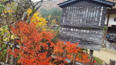 Japan 5 Days 3 Regions ความรู้สึกครบทั้งแบบโบราณและสมัยใหม่