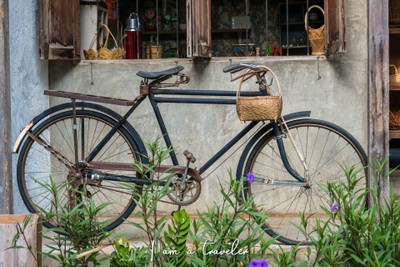 เชียงใหม่.....ไปไม่เคยเบื่อ