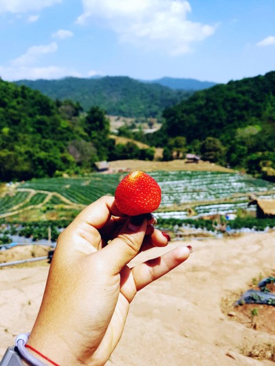 เที่ยวหน้าร้อน "ดอยอินทนนท์-บ้านแม่กลางหลวง" เชียงใหม่