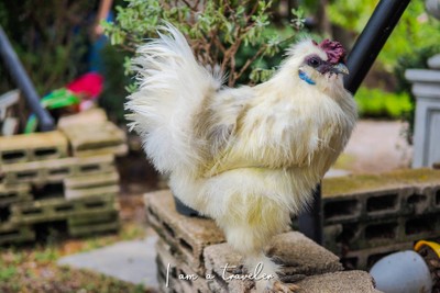 ราชบุรี...ไม่ได้มีดีแค่โอ่ง