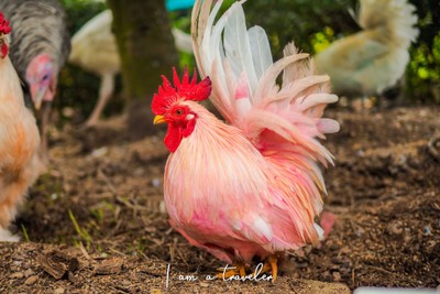 ราชบุรี...ไม่ได้มีดีแค่โอ่ง