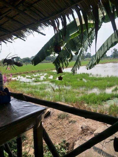 บรรยากาศ