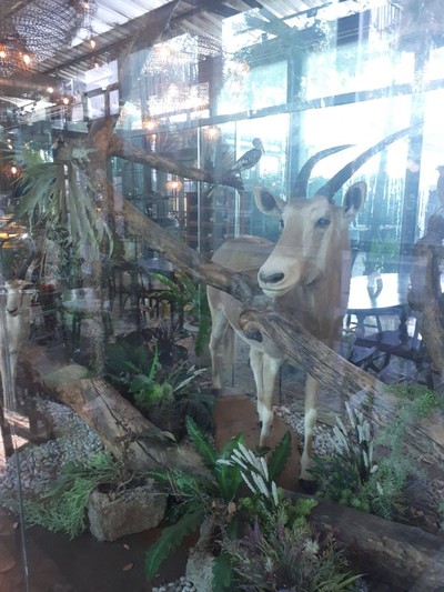 บรรยากาศ