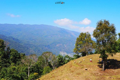 บ้านน้องอยู่บนผา อากาศดีด้วย