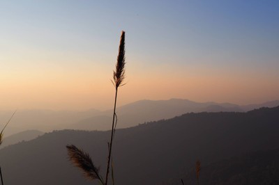 🎒เชียงใหม่ 3 วัน 2 คืน แบบไม่มีรถเพราะขับไม่เป็น