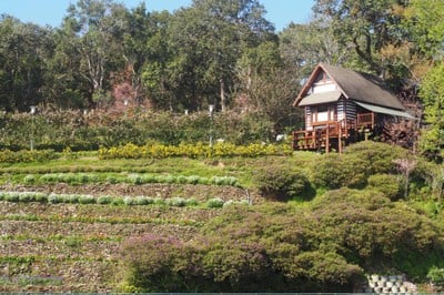 พระตำหนักภูพิงคราชนิเวศน์ ด้านในมีสวนดอกไม้ที่ร่มรื่นมากๆ