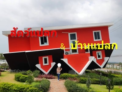 สัตว์แปลก  & บ้านแปลก