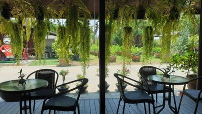 บรรยากาศ