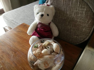 เก็บเปลือกเอามาฝาก(ของรีสอร์ทไม่ใช่ของเรา)