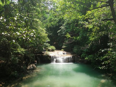 สวยมาก🙉