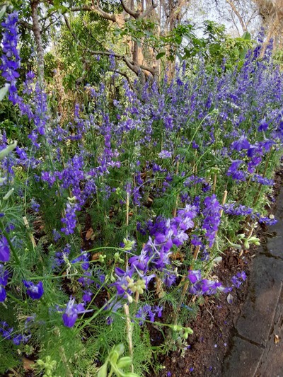 เชียงใหม่-เชียงราย 
สายบุญ สายศิลป์ สายกิน จัดเต็ม ปั๊วะๆ !