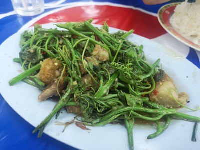 ผัดยอดฟักแม้วหมูกรอบ