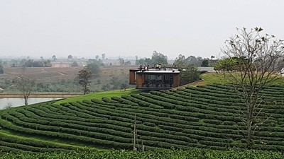 เห็นเป็นขั้นบันได