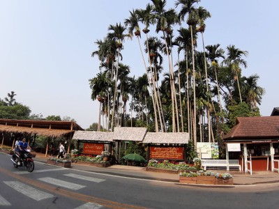 ก่อนขึ้นดอย